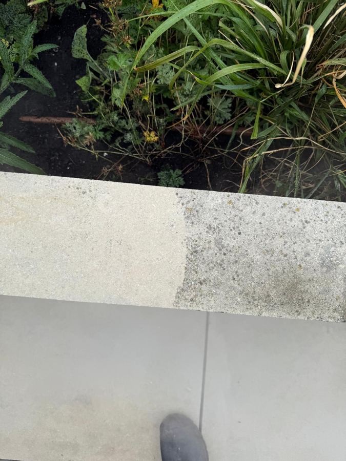 Stone coping half cleaned: clean pale stone on the left, lichen and black spotting on the right