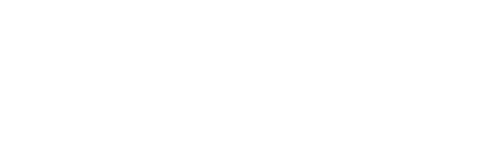 S.C.S.S. Specialist Cleaning Support Services
